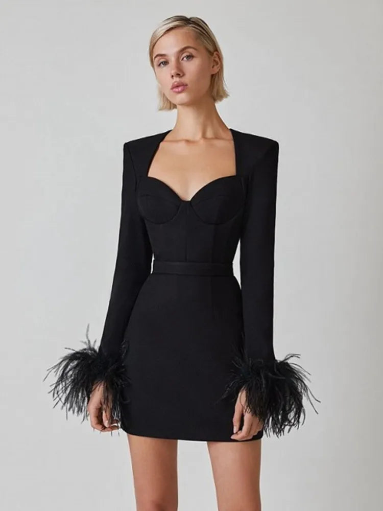 Formal attire Dresses: Women Winter Long Sleeve Feathers Pink Black Mini