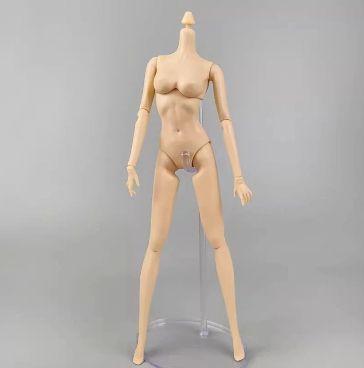1/6 Super Model Doll Body Joints Movable Solid Doll Replacement Body For FR/IT Doll Heads Light Beige Pink White Skin Tone
