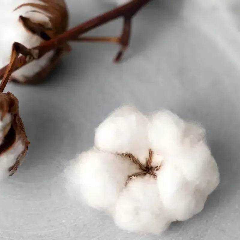 French Rapper Vote JUL Fashion Graphics T-shirts Men Women Hip-hop T-shirt Short-sleeved Casual Oversized T Shirt Streetwear