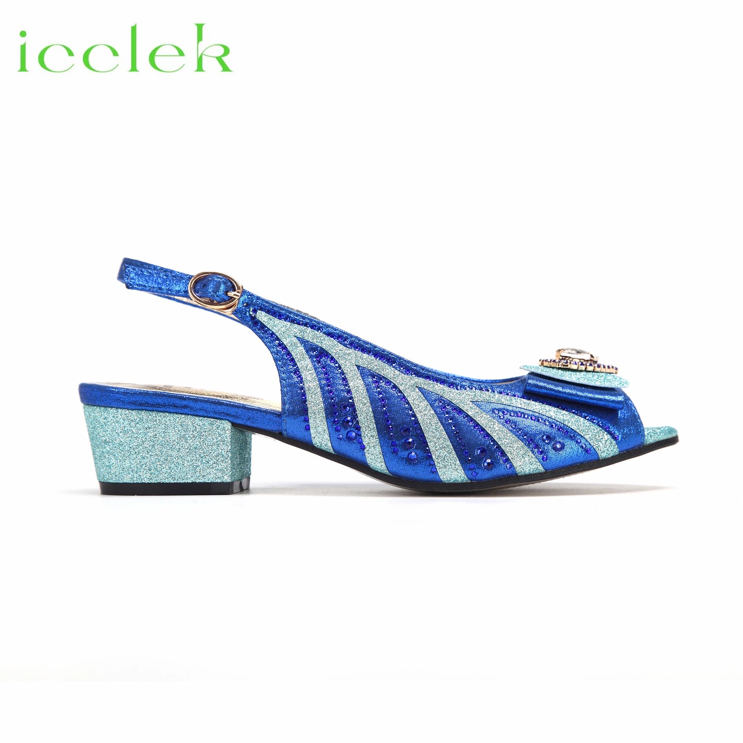 Matching Shoes and Bags: Royal Blue Elegant Low Heels Nigeria Popular Ladies Shoes