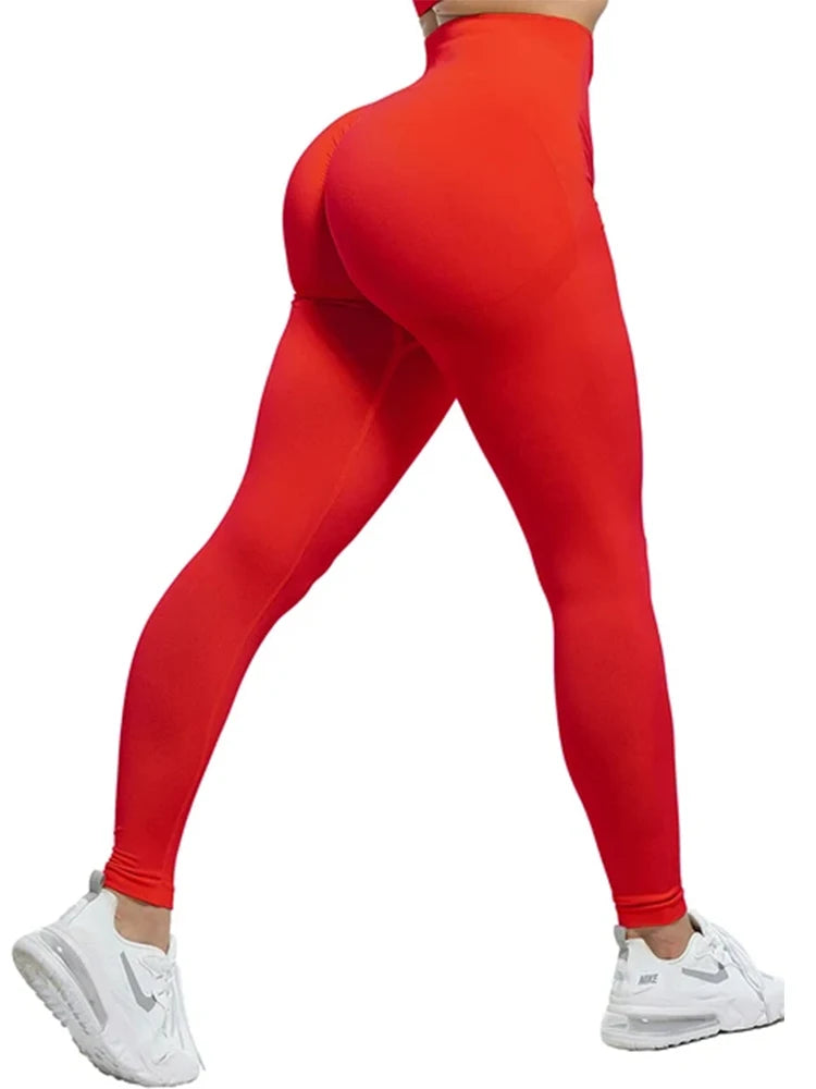 42813359718539|42813359947915|42813362405515|42813362503819