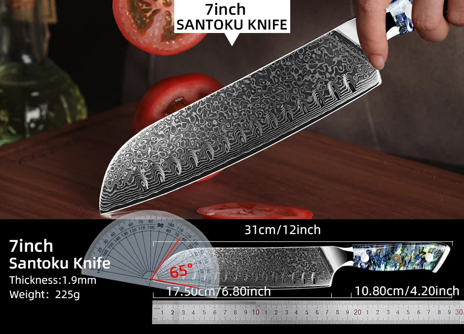 Damascus Knife Chef Knife Japanes VG10 67 Layer Steel Cleaver Paring Bread Knife