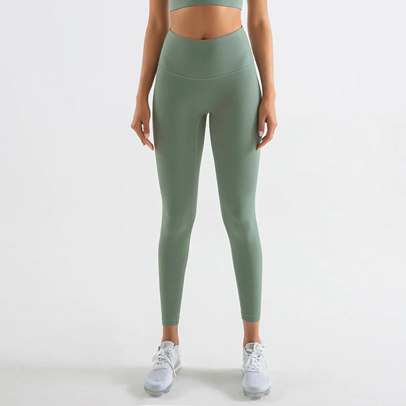 42804062912651|42804064977035|42804065239179|42804065337483