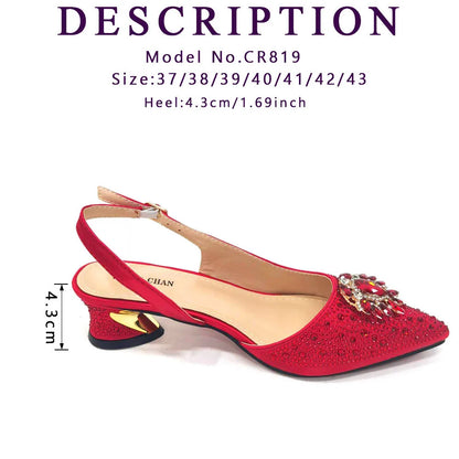 Sandals Woman Summer 2024 Hot Selling Design Pointed Toe Thin Heels Mature Ladies Shoes Matching Bag Set in Red Color