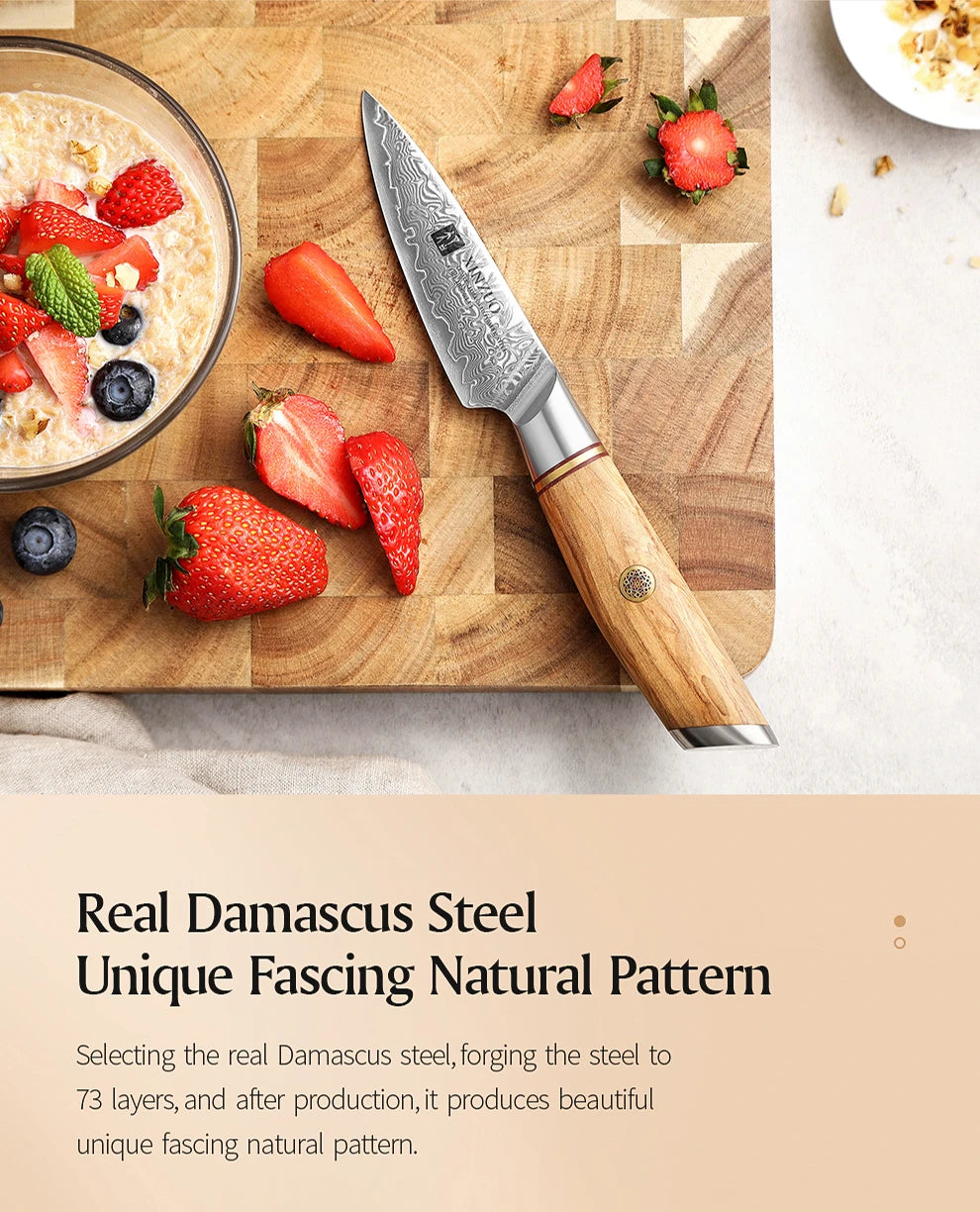 3.5'' in Paring Knife 73-layer Damascus Steel Damascus Steel Utility Knife