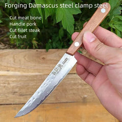 67-ply Forged Damascus Steel Steak Blade Sharp Peeling Fruit Knife Mongolian