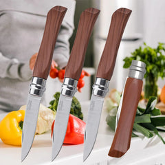 High Hardness Stainless Steel Folding Fruit Knife Household Vegetable Slicing Knife