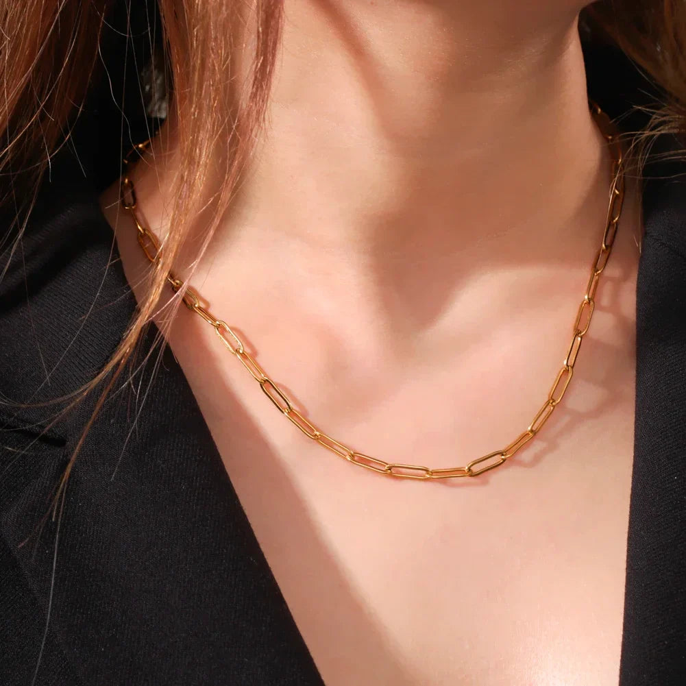Skyrim Stainless Steel Gold Color Chain Necklace Women Minimalist Cuban Paperclip Twisted Snake Chain Fashion Jewelry Wholesale