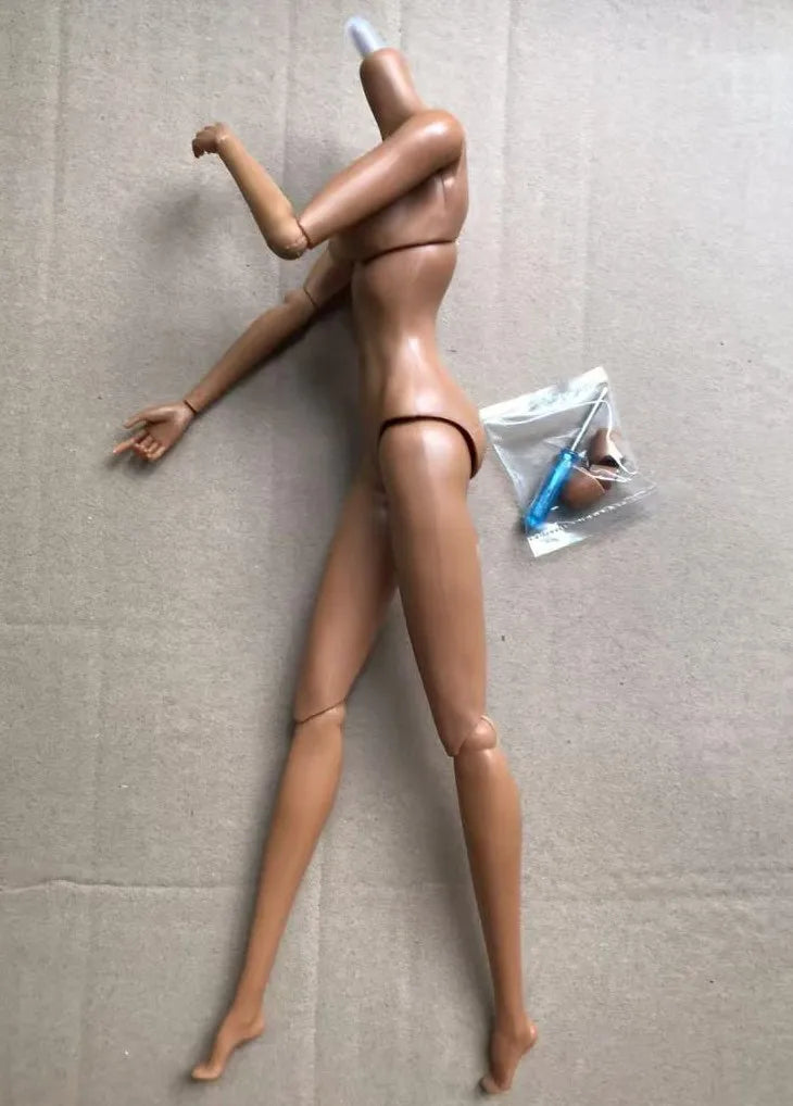 MENGF 12 Joints Movable Doll Body Pink Red White Beige Brown Coffee Green Color Doll Figures 28CM Super Model For FR IT Heads