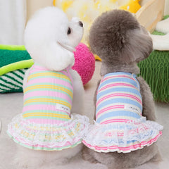 Dog Dress Clothes Summer Lace Sling Pet Cat Clothes Colorful Puppy Dog