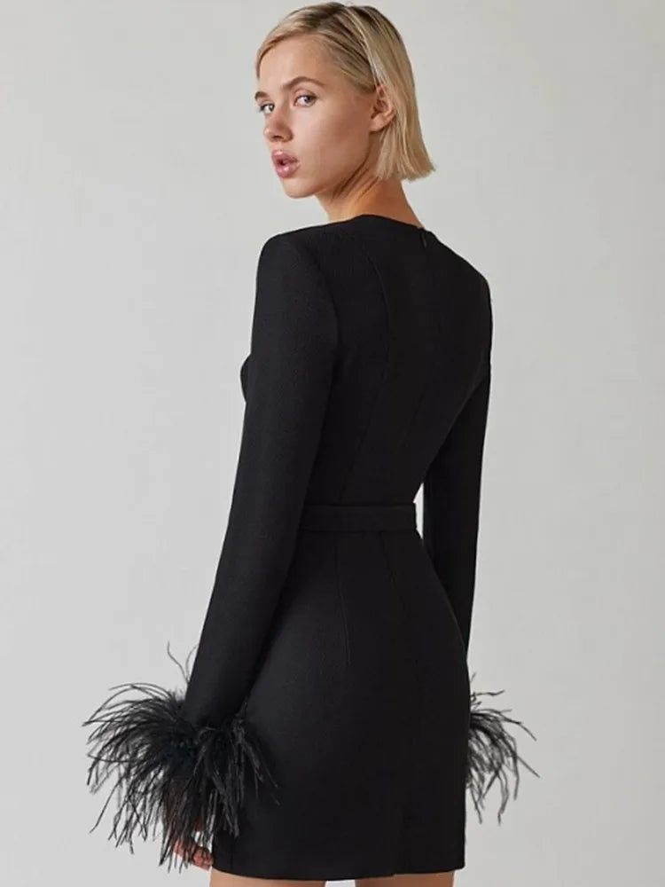 Formal attire Dresses: Women Winter Long Sleeve Feathers Pink Black Mini