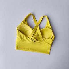 Sports Bra Collection Breast High-intensity Professional Shockproof Huddle