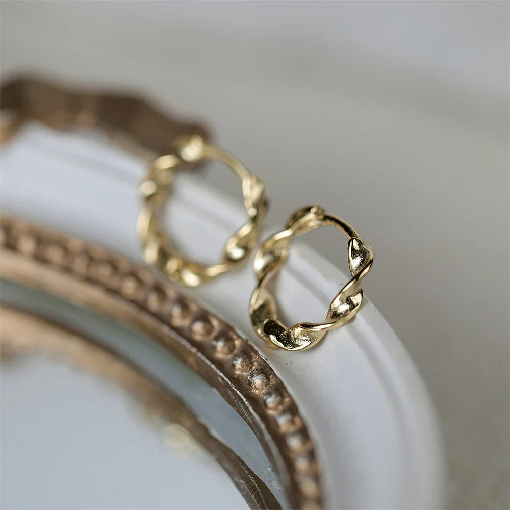 ROXI 925 Sterling Silver Ear Buckle Snake Twisted Round Circle Microinlaid Zirconia Hoop Earrings For Women Pendientes Aro Rojos