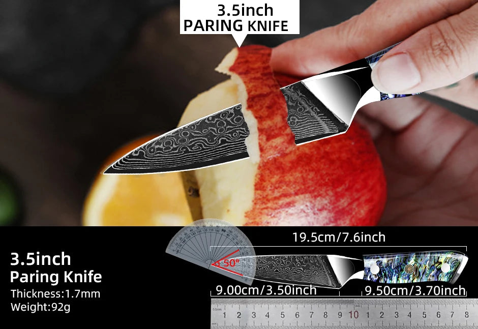 Damascus Knife Chef Knife Japanes VG10 67 Layer Steel Cleaver Paring Bread Knife