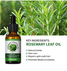 30ml Natural Essential Oils Plant Extract Serum Massage Oil For Hair Skin Body Relax Black Seed Oil Rosemary Oil 1 Bottle