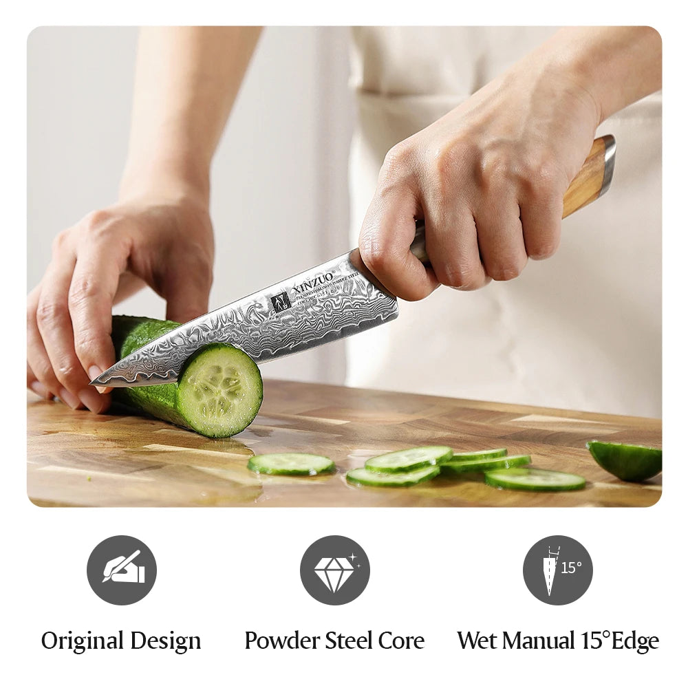 5" inch Utility Knife Kitchen Knives Japanese 73-layer Powder Steel Core
