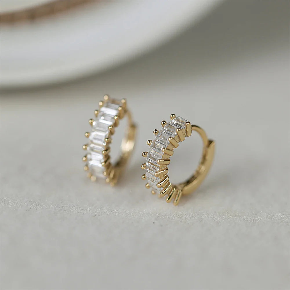 ROXI 925 Sterling Silver Ear Buckle Snake Twisted Round Circle Microinlaid Zirconia Hoop Earrings For Women Pendientes Aro Rojos