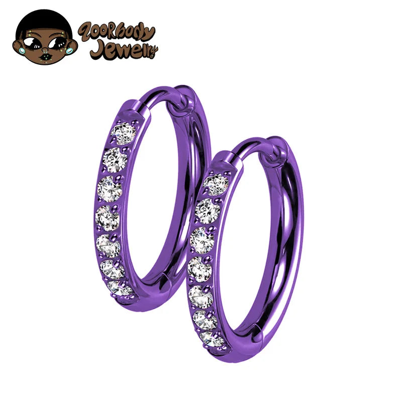 2PCS G23 Titanium Earring High Quality Hoop CZ Hinged Segment Round Nose Ring for Women Ear Cartilage Helix Piercing Anodizing