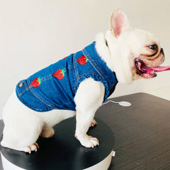 Denim Dog Clothes for Pitbulls Dachshund Fashion Dog Jeans Jacket  Blue Cowboy