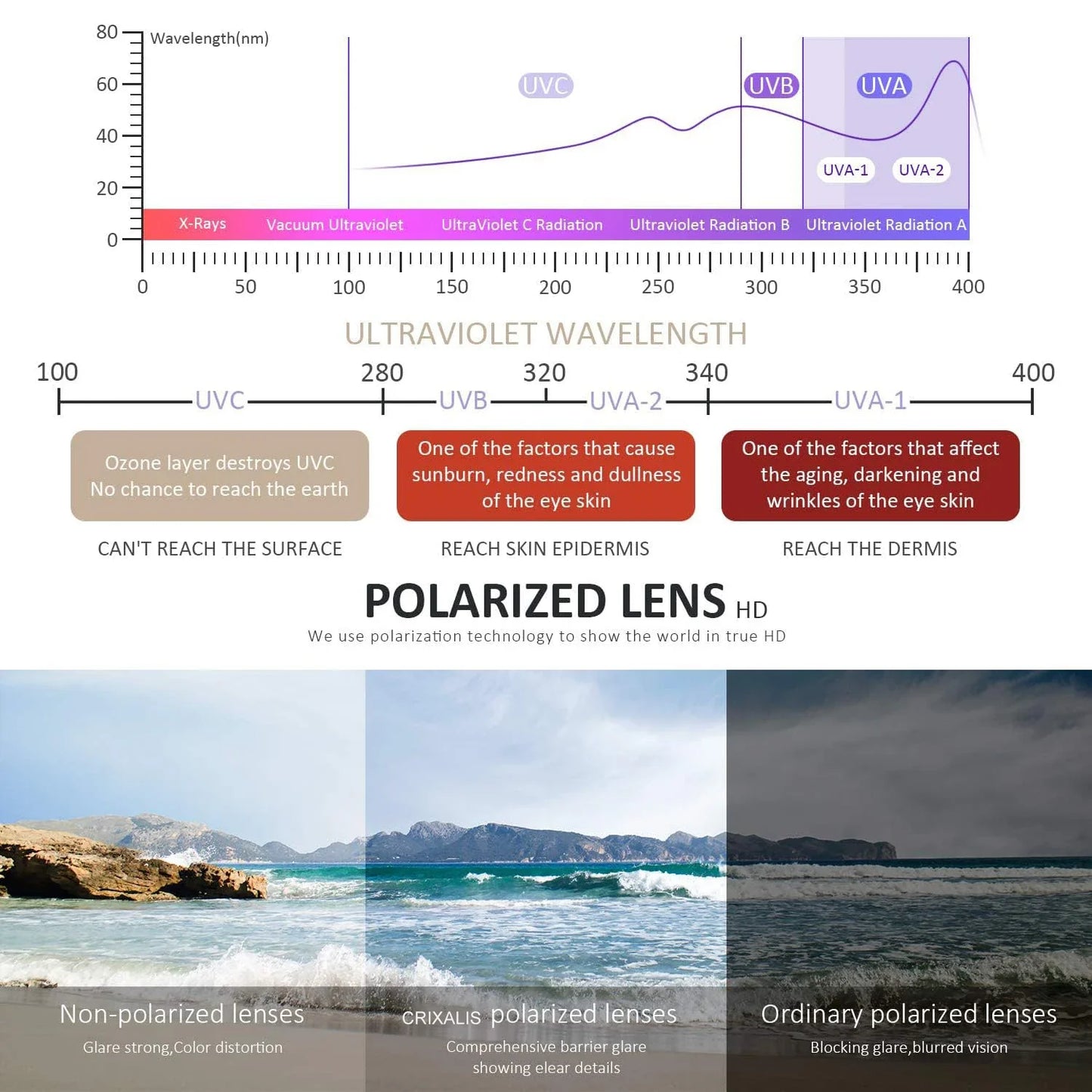 CRIXLAIS Fashion Photochromic Polarized Sunglasses Men Women Oversized Sun Glasses Male Night Vision Driving Goggles UV400