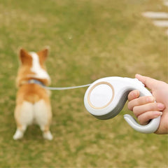 3M 5M Retractable Dog Leash Durable Nylon Pet Walking Leash Automatic