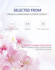 Sakura Sleeping Face Mask Moisturizing Nourishing Good Night Facial Mask No Washing Hydrating Skin Care Products