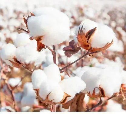 Summer Men P1Harmony 2025 DUH Same T-shirt Kpop Print Summer Short Sleeve Tee for Fans Men Women Clothing Streetwear T Shirts