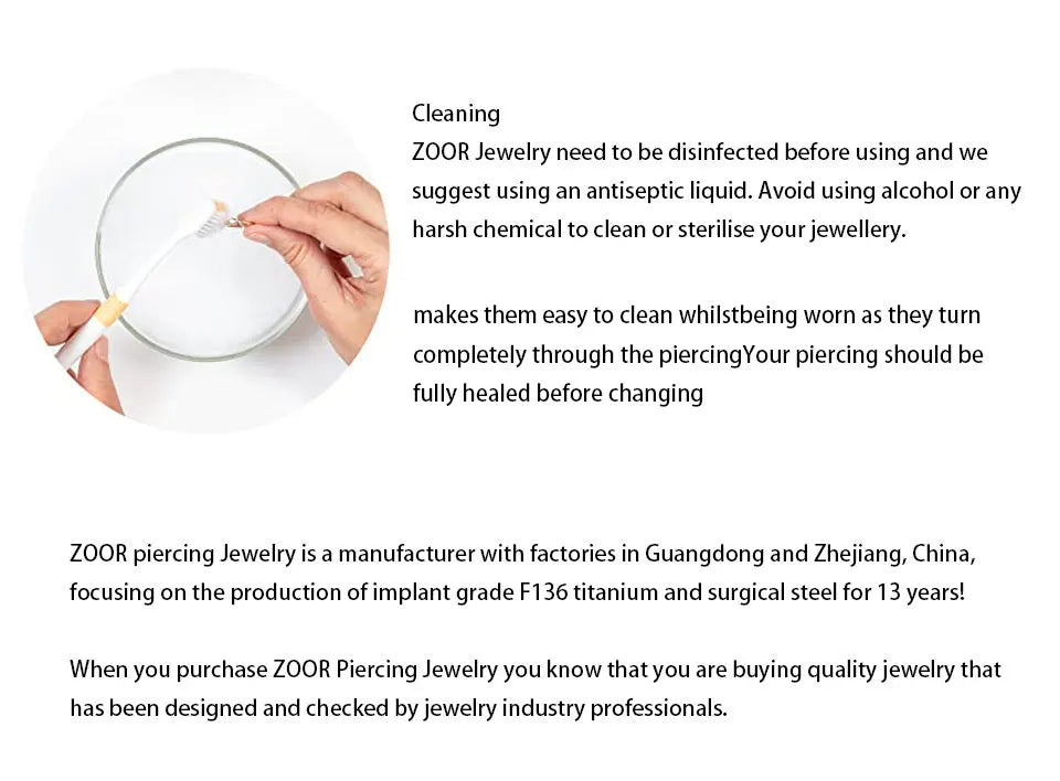 2PCS G23 Titanium Earring High Quality Hoop CZ Hinged Segment Round Nose Ring for Women Ear Cartilage Helix Piercing Anodizing