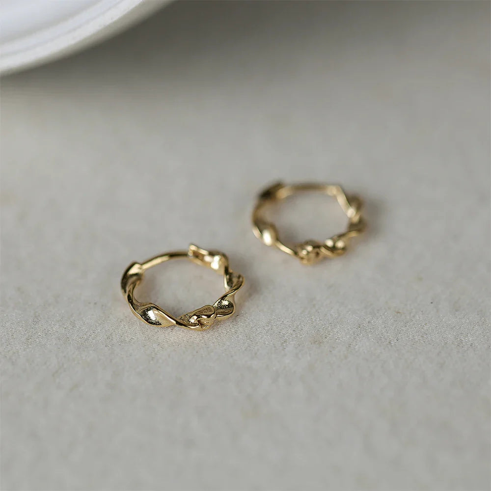 ROXI 925 Sterling Silver Ear Buckle Snake Twisted Round Circle Microinlaid Zirconia Hoop Earrings For Women Pendientes Aro Rojos