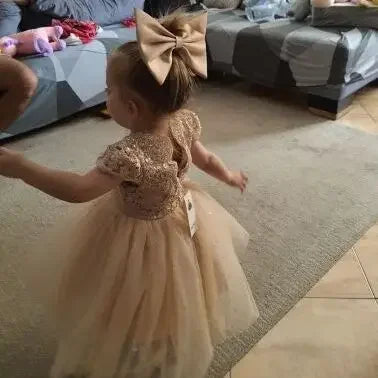 12M Baby Girl Baptism Princess Gown Infant One Year Birthday Party Clothes Eid Embroidery Sequin Flower Girl Wedding Dresses