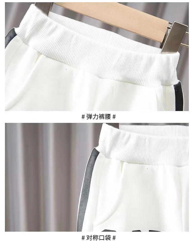 Spring Autumn Boys Clothing Set 2024 New Children's Baby Top and Pants Two Piece Boys Long Sleeve Sweater Set Kids Clothes Suit