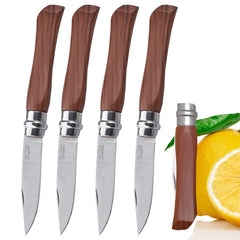 Folding Peeler Sharp Fruit Knife Stainless Steel Knife Kitchen Knives Fruit and Vegetable