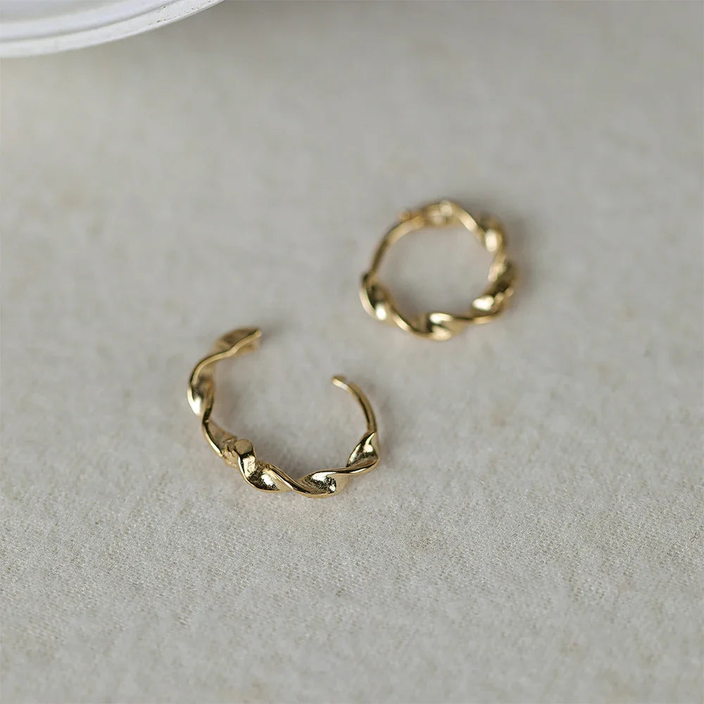 ROXI 925 Sterling Silver Ear Buckle Snake Twisted Round Circle Microinlaid Zirconia Hoop Earrings For Women Pendientes Aro Rojos
