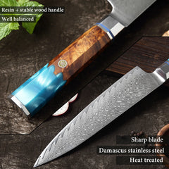 Damascus Knife Set 1-9 PCS Japanese Kitchen Knife Set VG10 Steel Core