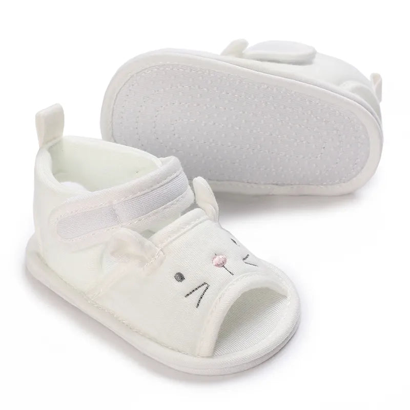 41853974053003|41853974216843|41853974478987