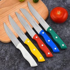 PP Handle Kitchen Knife Sharp Fruit Knife Stainless Steel Professional