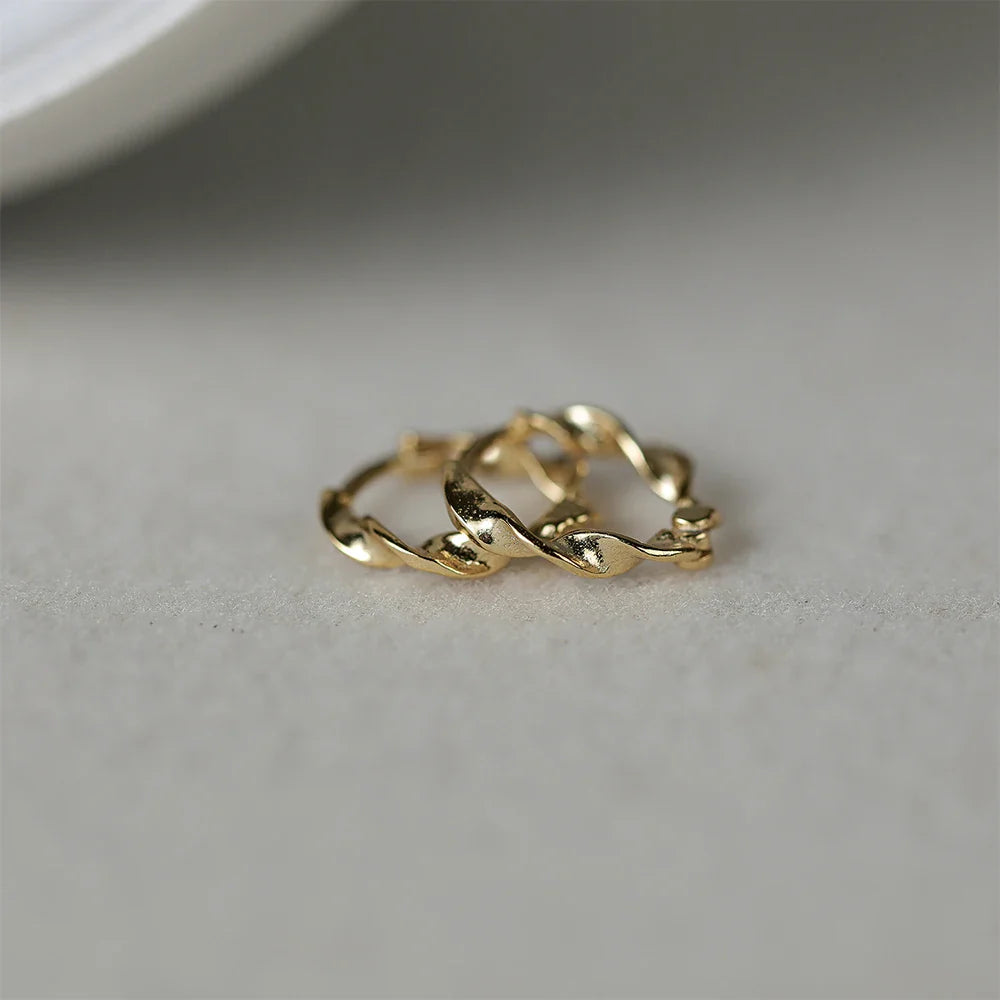 ROXI 925 Sterling Silver Ear Buckle Snake Twisted Round Circle Microinlaid Zirconia Hoop Earrings For Women Pendientes Aro Rojos