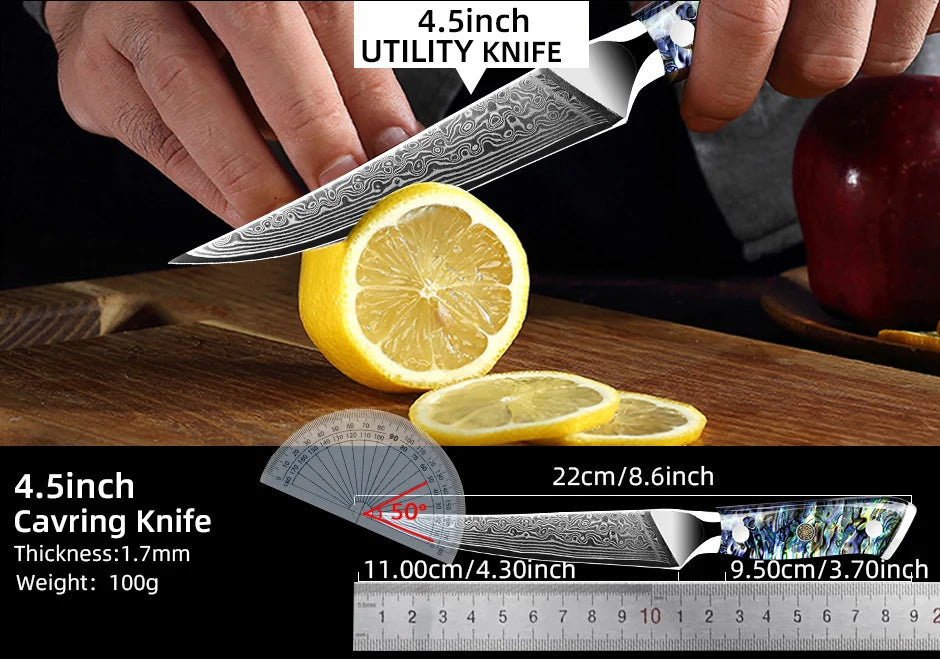 Damascus Knife Chef Knife Japanes VG10 67 Layer Steel Cleaver Paring Bread Knife