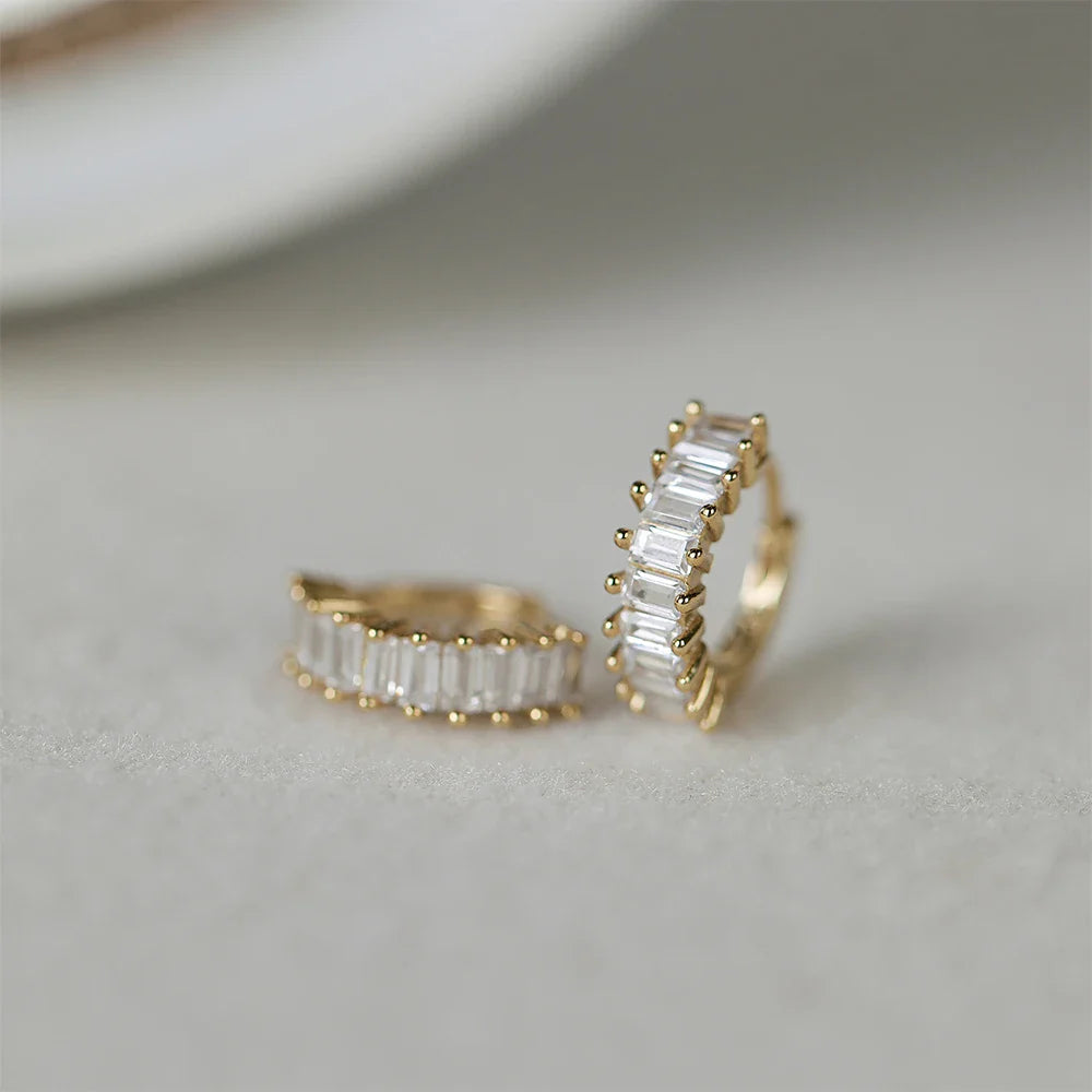 ROXI 925 Sterling Silver Ear Buckle Snake Twisted Round Circle Microinlaid Zirconia Hoop Earrings For Women Pendientes Aro Rojos