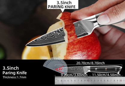 Damascus Kitchen Knives Set Japanese Chef Kitchen Knives VG10 67 Layer Stainless