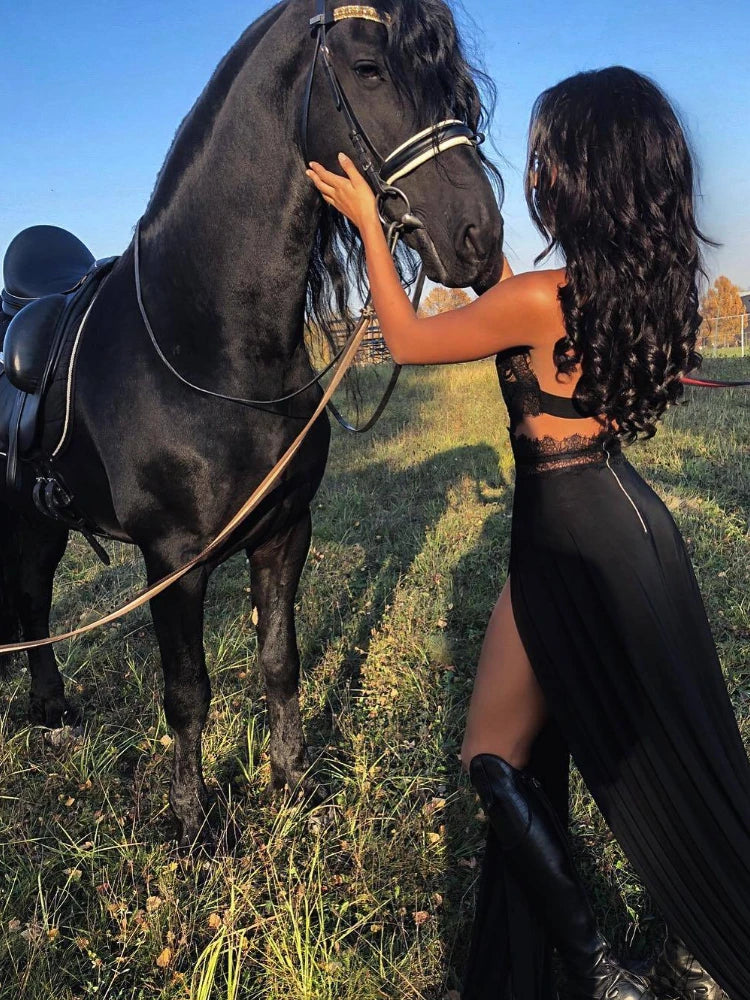 Formal attire Dresses: Party Evening Black Long Dress for Women Maxi Dresses