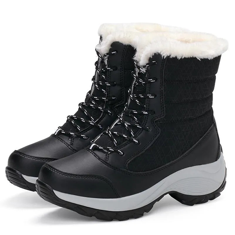 41678857666699|41678857699467|41678857732235|41678857765003|41678857797771|41678857830539|41678857863307|41678857896075|41678857928843