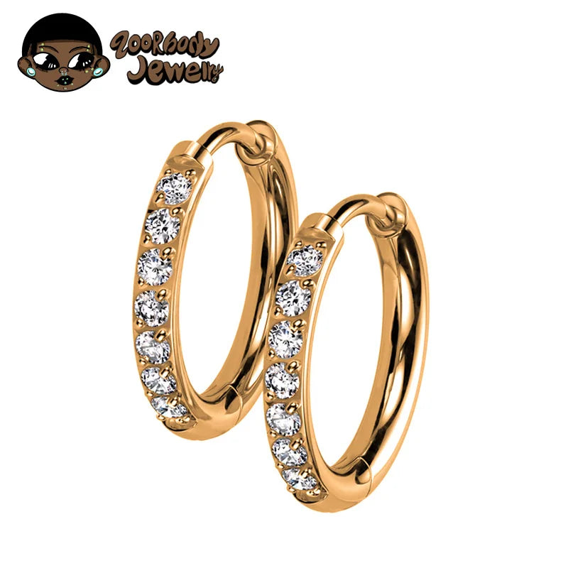 2PCS G23 Titanium Earring High Quality Hoop CZ Hinged Segment Round Nose Ring for Women Ear Cartilage Helix Piercing Anodizing