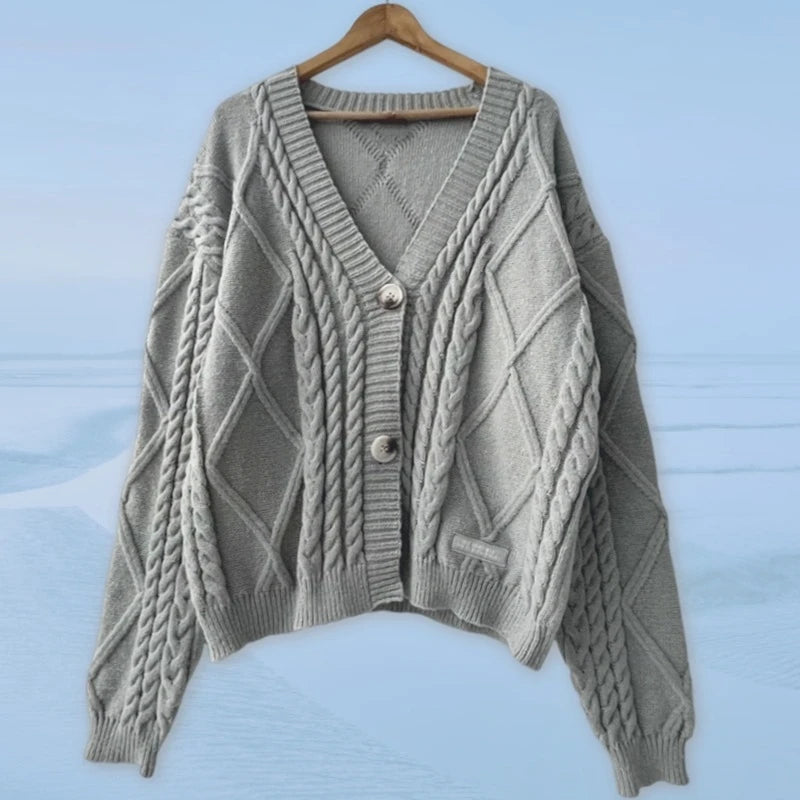 Autumn Women Trend Loose Fitting Floral Embroidered Knitted