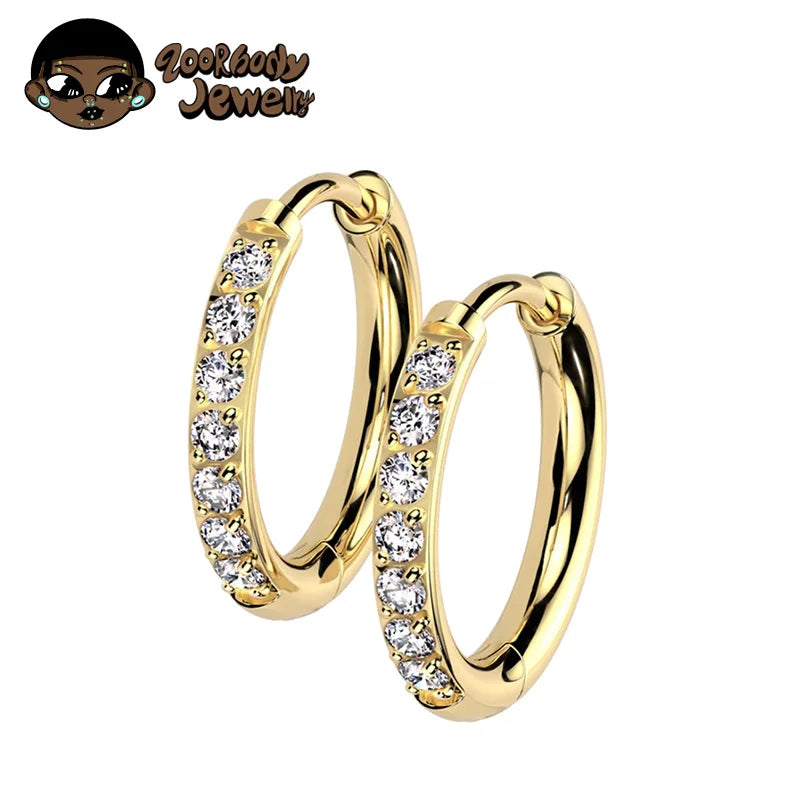 2PCS G23 Titanium Earring High Quality Hoop CZ Hinged Segment Round Nose Ring for Women Ear Cartilage Helix Piercing Anodizing