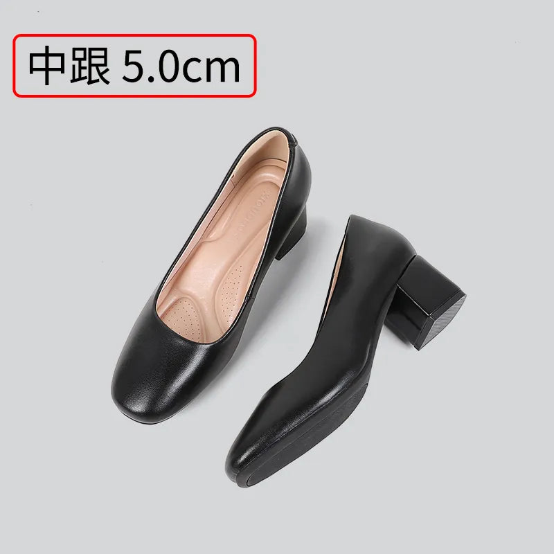 41685961375883|41685961408651|41685961441419|41685961474187|41685961506955|41685961539723|41685961572491