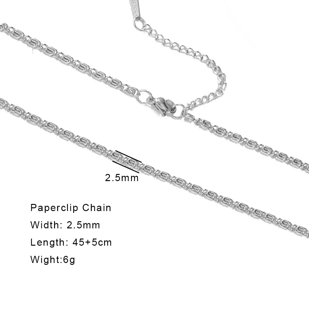 Skyrim Stainless Steel Gold Color Chain Necklace Women Minimalist Cuban Paperclip Twisted Snake Chain Fashion Jewelry Wholesale