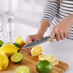 Professional Kitchen Knife Set 1-9PCS, Sharp Chef Knife Santoku Knife Fruit knife