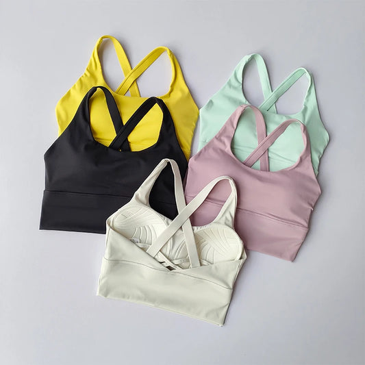 Sports Bra Collection Breast High-intensity Professional Shockproof Huddle