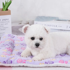 Dogs Bed Flannel Thickened Blanket Cushion Washable Dog Puppy Bed Accessories